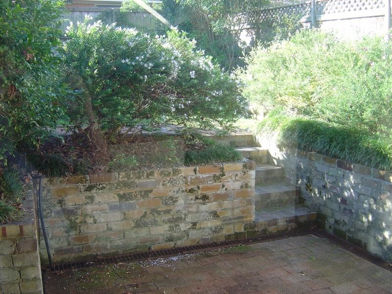 31 Penkivil Street, Willoughby NSW 2068