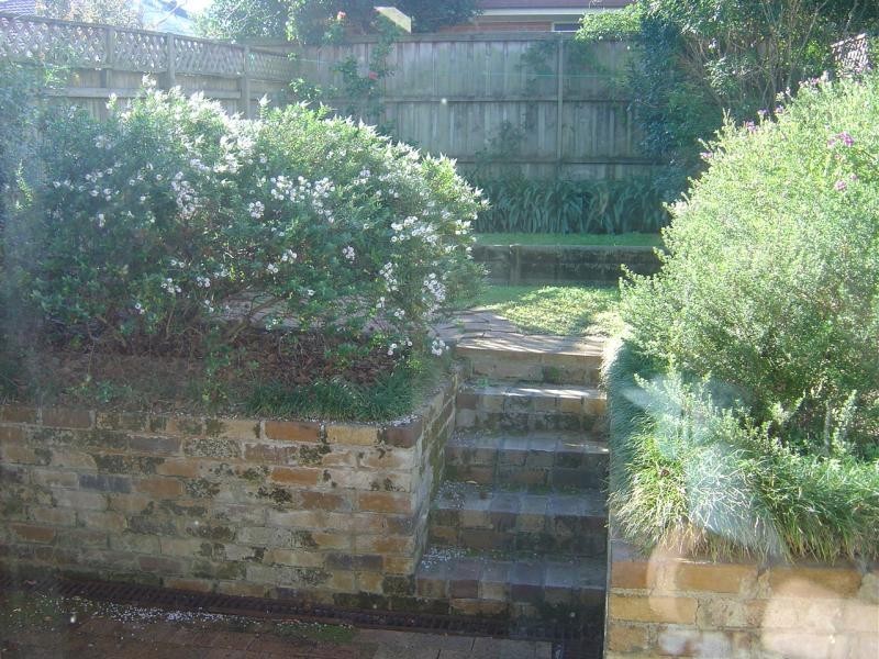 31 Penkivil Street, Willoughby NSW 2068