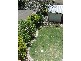 1 Pine Street, Cammeray NSW 2062