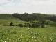 10 Sullivans Road, Korumburra VIC 3950
