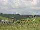 Lot 3 Rees Road, Jumbunna VIC 3951