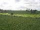 Lot 3 Rees Road, Jumbunna VIC 3951