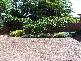 11a Duke Street, Point Frederick NSW 2250