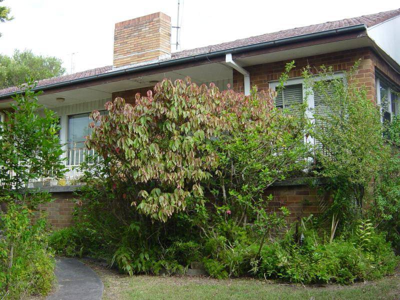68 Albany Street, Point Frederick NSW 2250