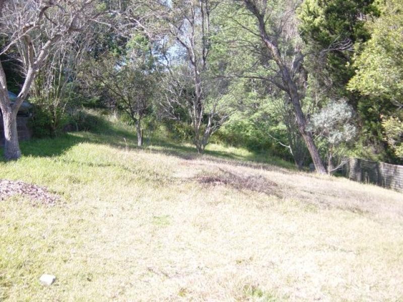 North Gosford NSW 2250