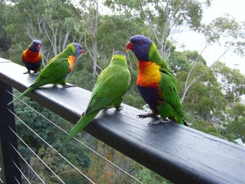 177 Glennie Street, North Gosford NSW 2250