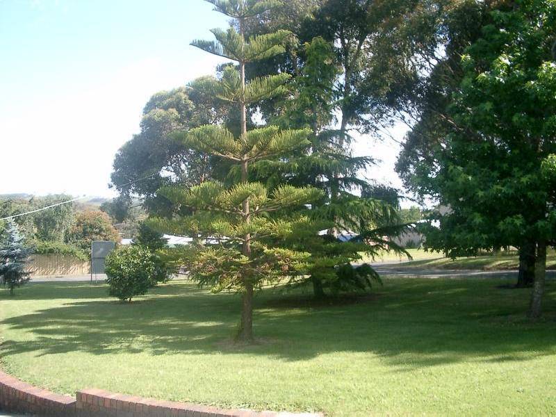 6 Welsford Street, Meeniyan VIC 3956