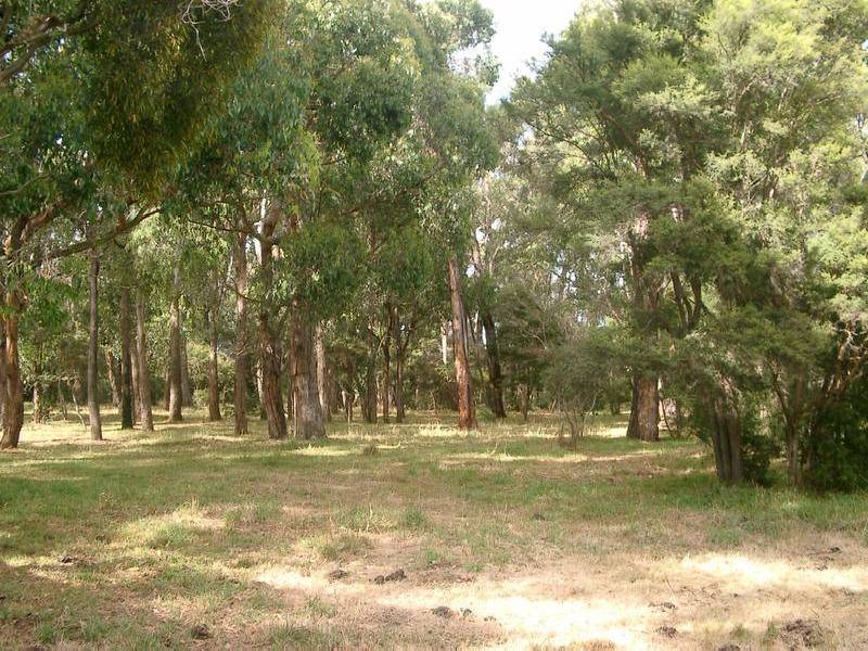 7 Carmodys Road, Leongatha VIC 3953