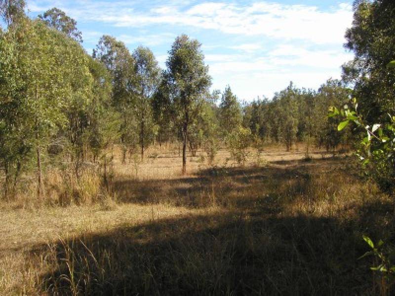 210 Sandy Swamp Road, Coutts Crossing NSW 2460