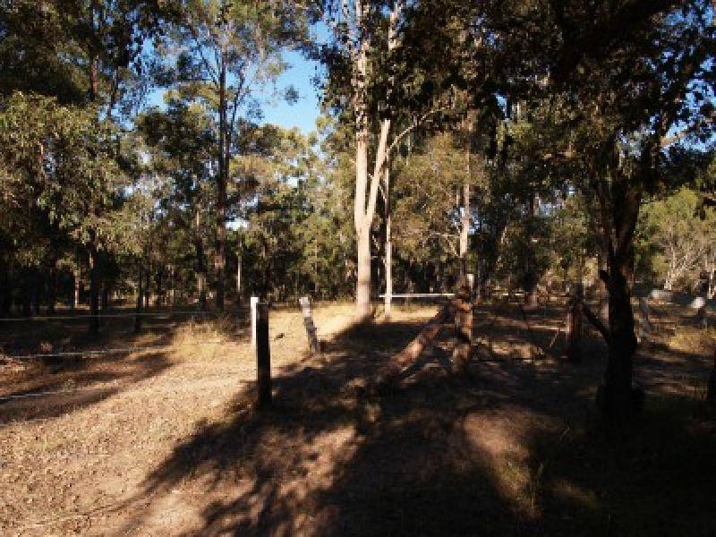 210 Sandy Swamp Road, Coutts Crossing NSW 2460