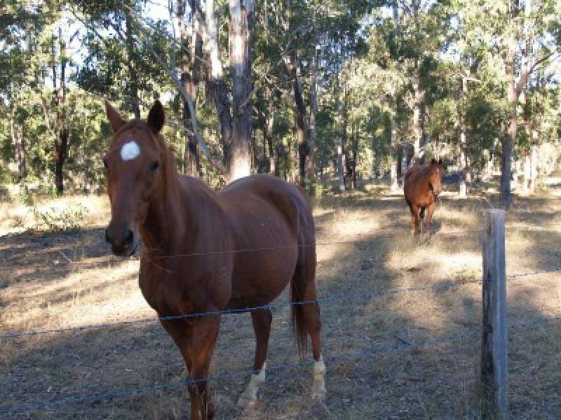 210 Sandy Swamp Road, Grafton NSW 2460