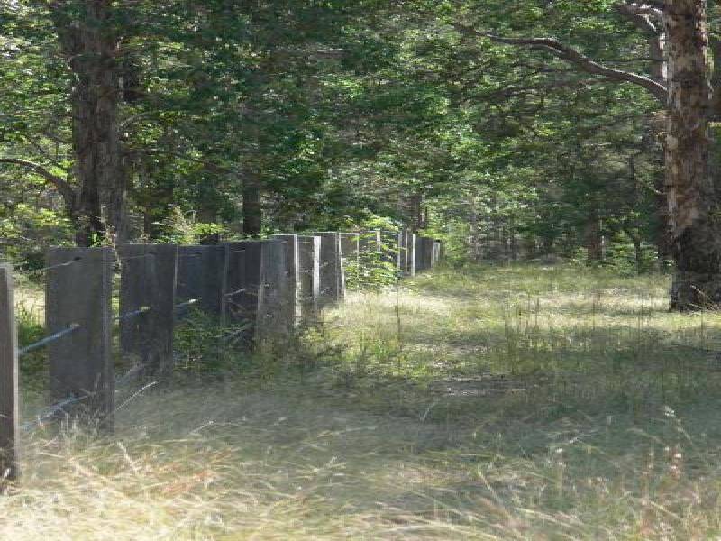 210 Sandy Swamp Road, Coutts Crossing NSW 2460