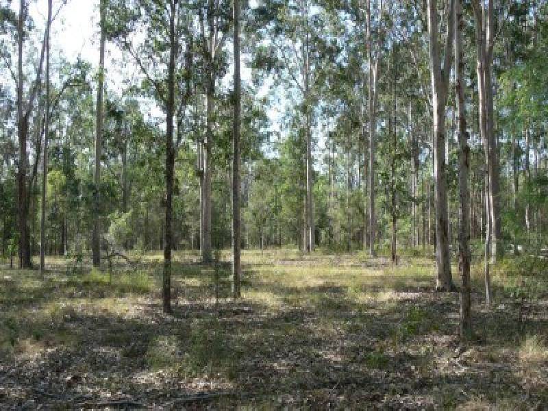 210 Sandy Swamp Road, Grafton NSW 2460