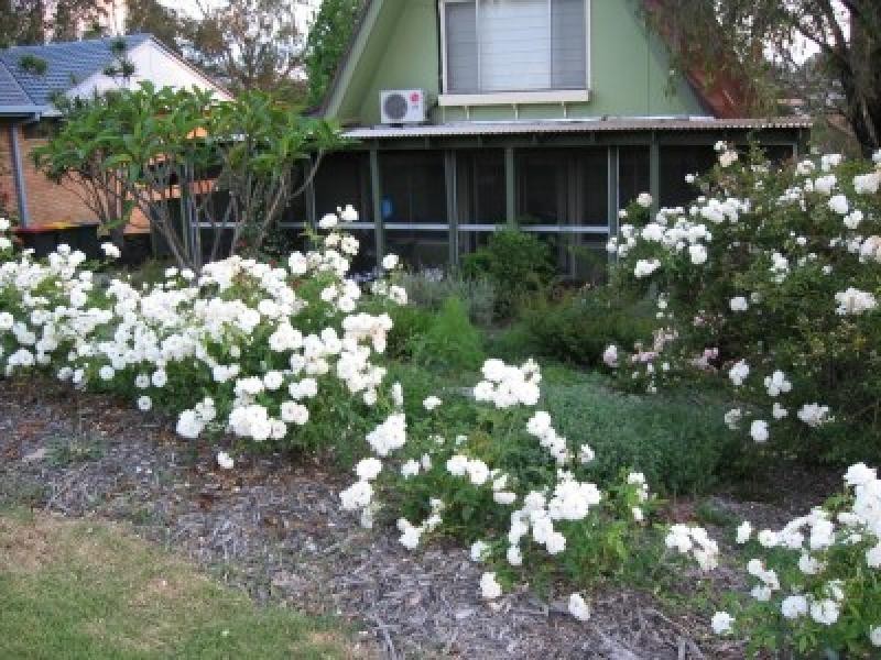 8 Blanch Parade, South Grafton NSW 2460