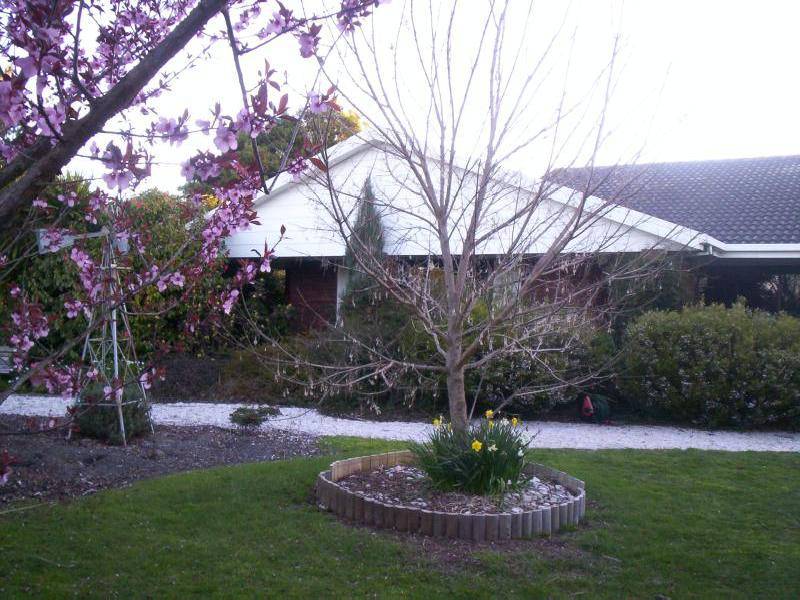 49 Calverts Lane, Gravelly Beach TAS 7276