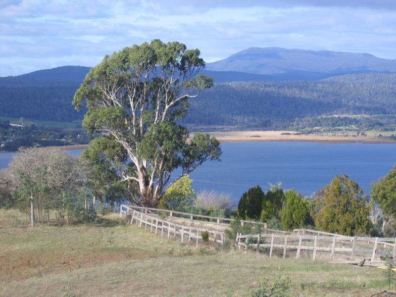 1824 West Tamar Highway, Rosevears TAS 7277