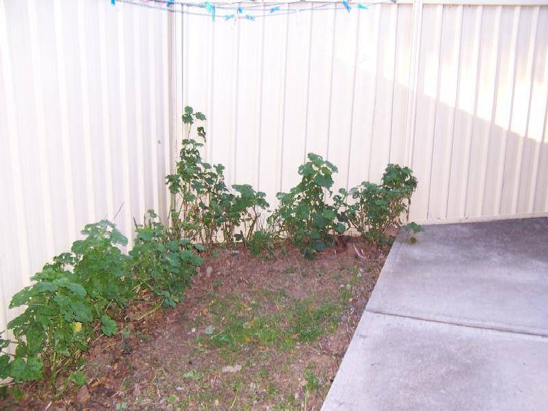 9b Kintyre Place, St Andrews NSW 2566