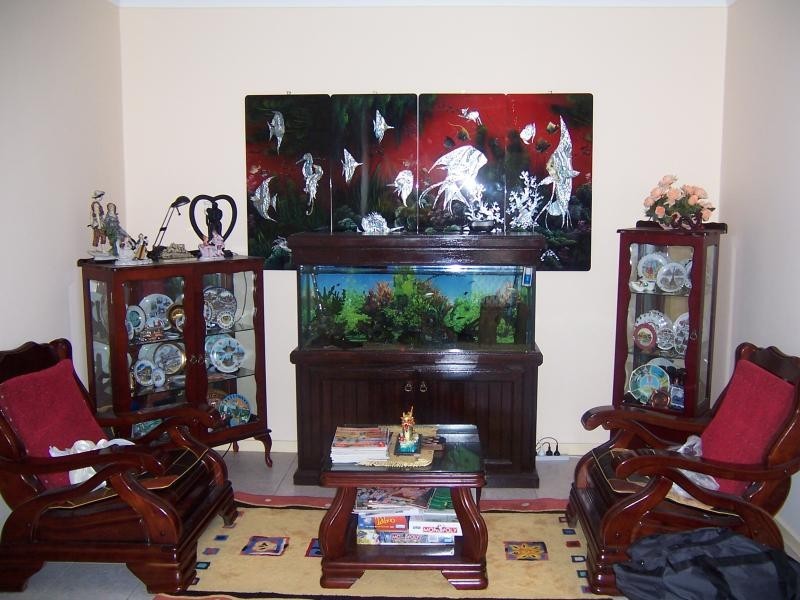 14 Lerwick Place, St Andrews NSW 2566