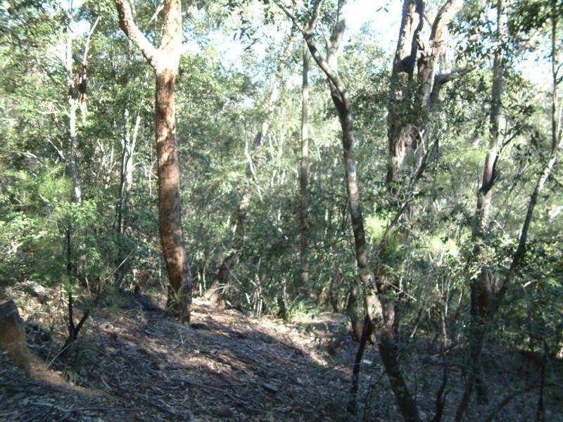 15 Gotts Road, Lower Portland NSW 2756