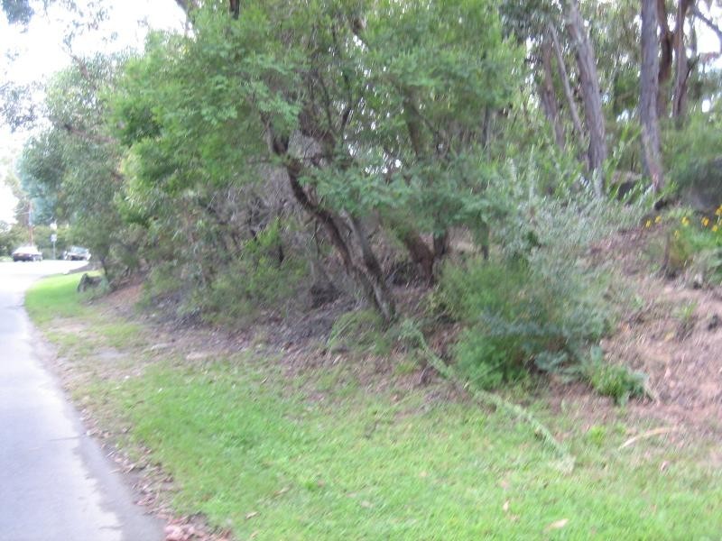 17 Meeks Crescent, Faulconbridge NSW 2776