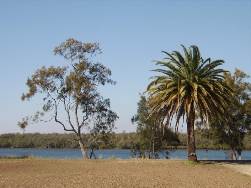 359 Riverbank Road, Pimlico NSW 2478