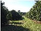 1 Alexander Road, Mcleans Ridges NSW 2480