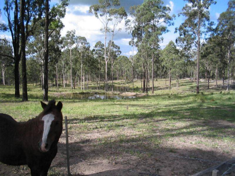 215 Eagleton Forest Road, Glen Oak NSW 2320