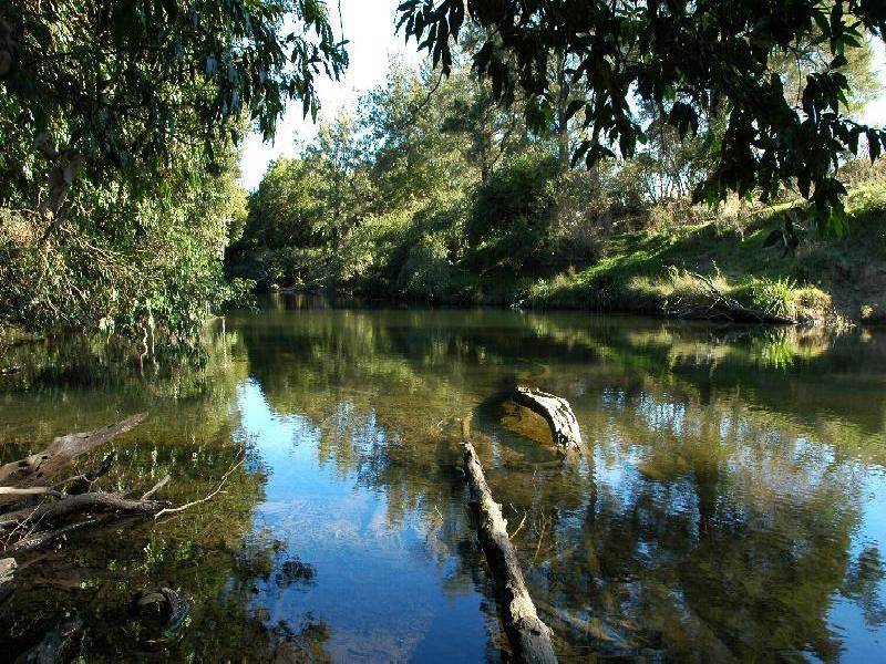 335 Alison Road, Dungog NSW 2420