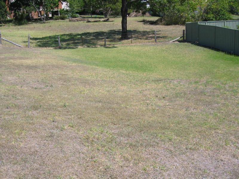 36 Baird Street, Dungog NSW 2420