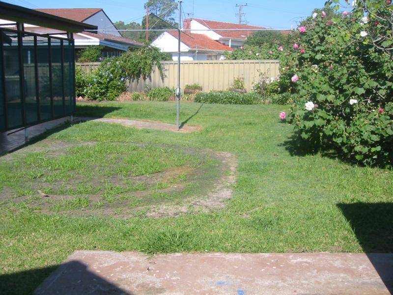 26 Lord Street, Dungog NSW 2420
