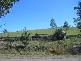 Lot  272 Eloiza Street, Dungog NSW 2420