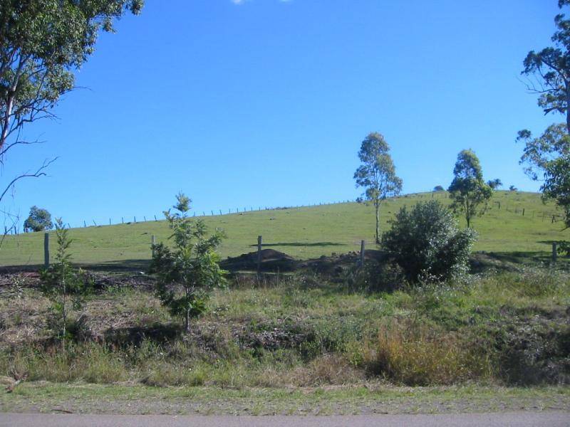 Lot  272 Eloiza Street, Dungog NSW 2420