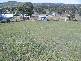 Lot  272 Eloiza Street, Dungog NSW 2420