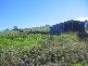 Lot  272 Eloiza Street, Dungog NSW 2420