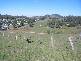 Lot  272 Eloiza Street, Dungog NSW 2420