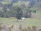 158 Moonabung Road, Vacy NSW 2421