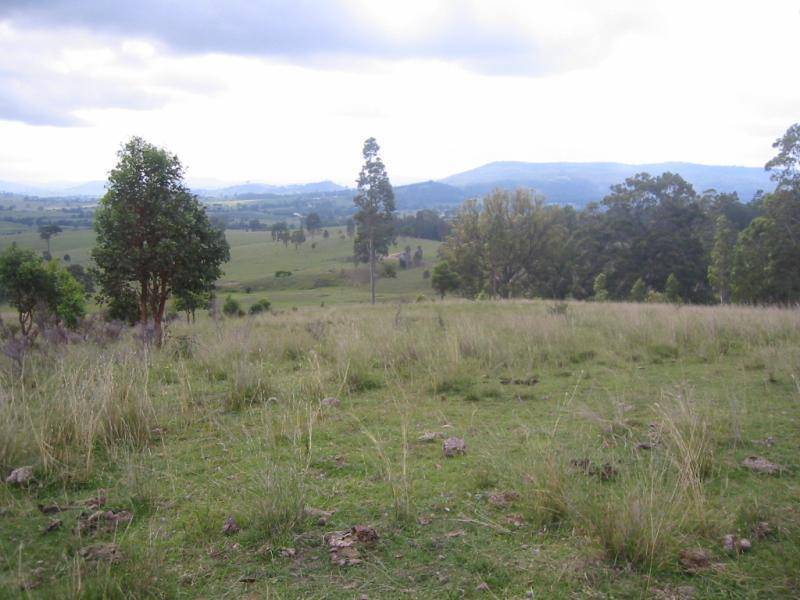 158 Moonabung Road, Vacy NSW 2421