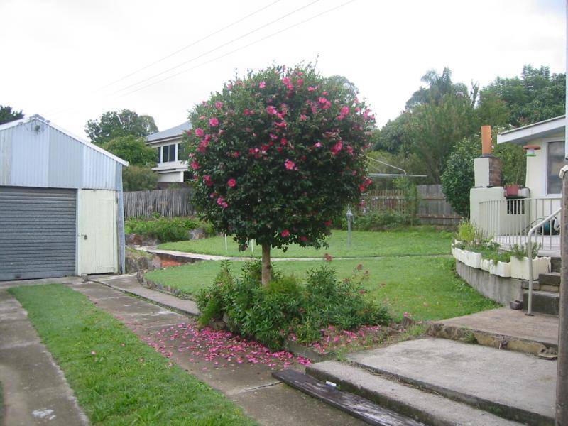 44 Fosterton Road, Dungog NSW 2420