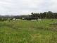 347 Glen Martin Road, Glen Martin NSW 2321