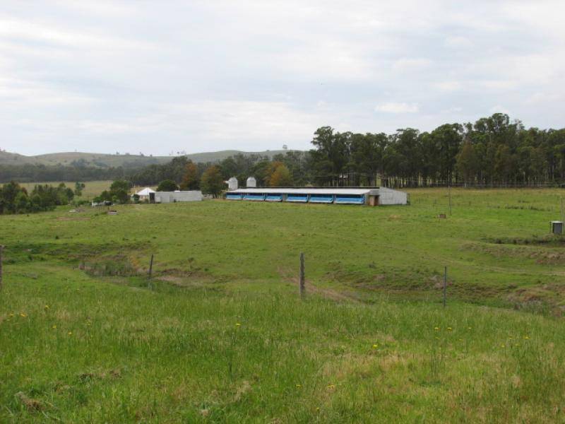 347 Glen Martin Road, Glen Martin NSW 2321