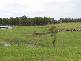 347 Glen Martin Road, Glen Martin NSW 2321