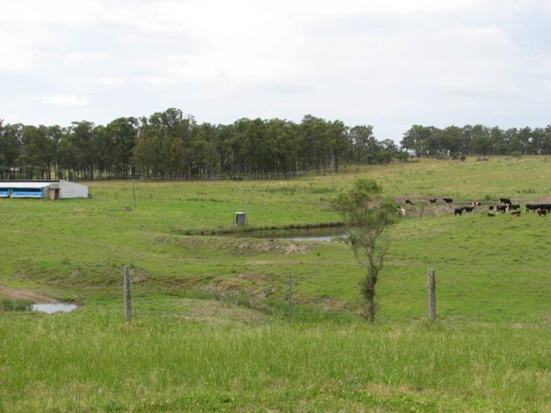 347 Glen Martin Road, Glen Martin NSW 2321