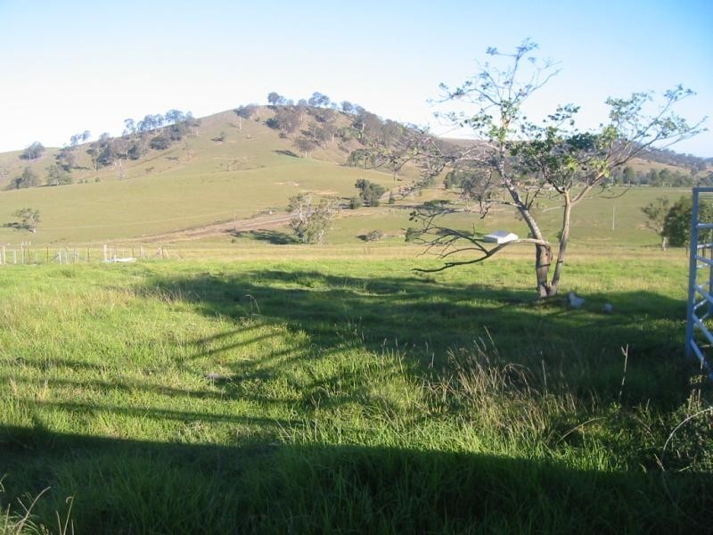 31 Wade Street, Dungog NSW 2420