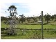 41 Abelard Street, Dungog NSW 2420