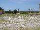 82 Windward Circuit, Tea Gardens NSW 2324