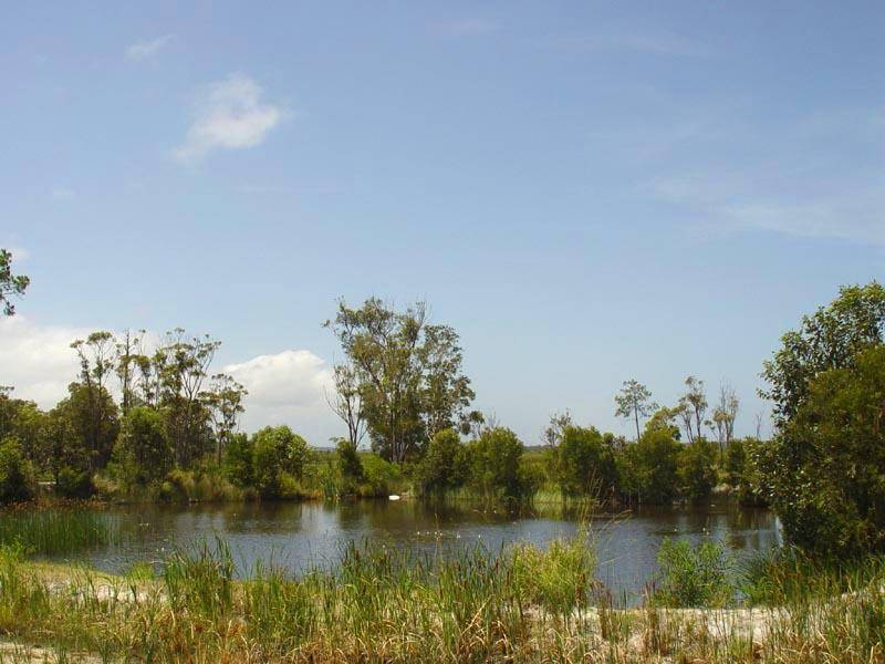 82 Windward Circuit, Tea Gardens NSW 2324