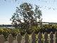 16 Moira Parade, Hawks Nest NSW 2324