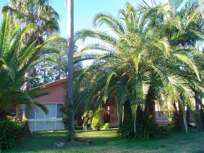 10 Albatross Avenue, Hawks Nest NSW 2324