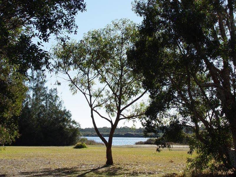 6 Carramar Crescent, Hawks Nest NSW 2324