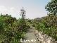 Lot 3 Windward Circuit, Tea Gardens NSW 2324
